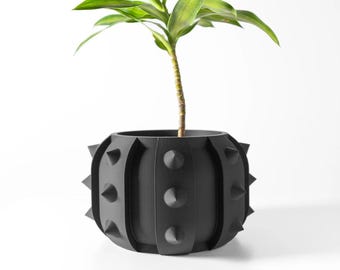 The &quot;Alver&quot; Planter Pot | Modern Planter Pot | Large Planter | Succulent Cactus Monstera Plants | Eco-Friendly | 3&quot; 4&quot; 5&#39; 6&quot; Indoor Pot