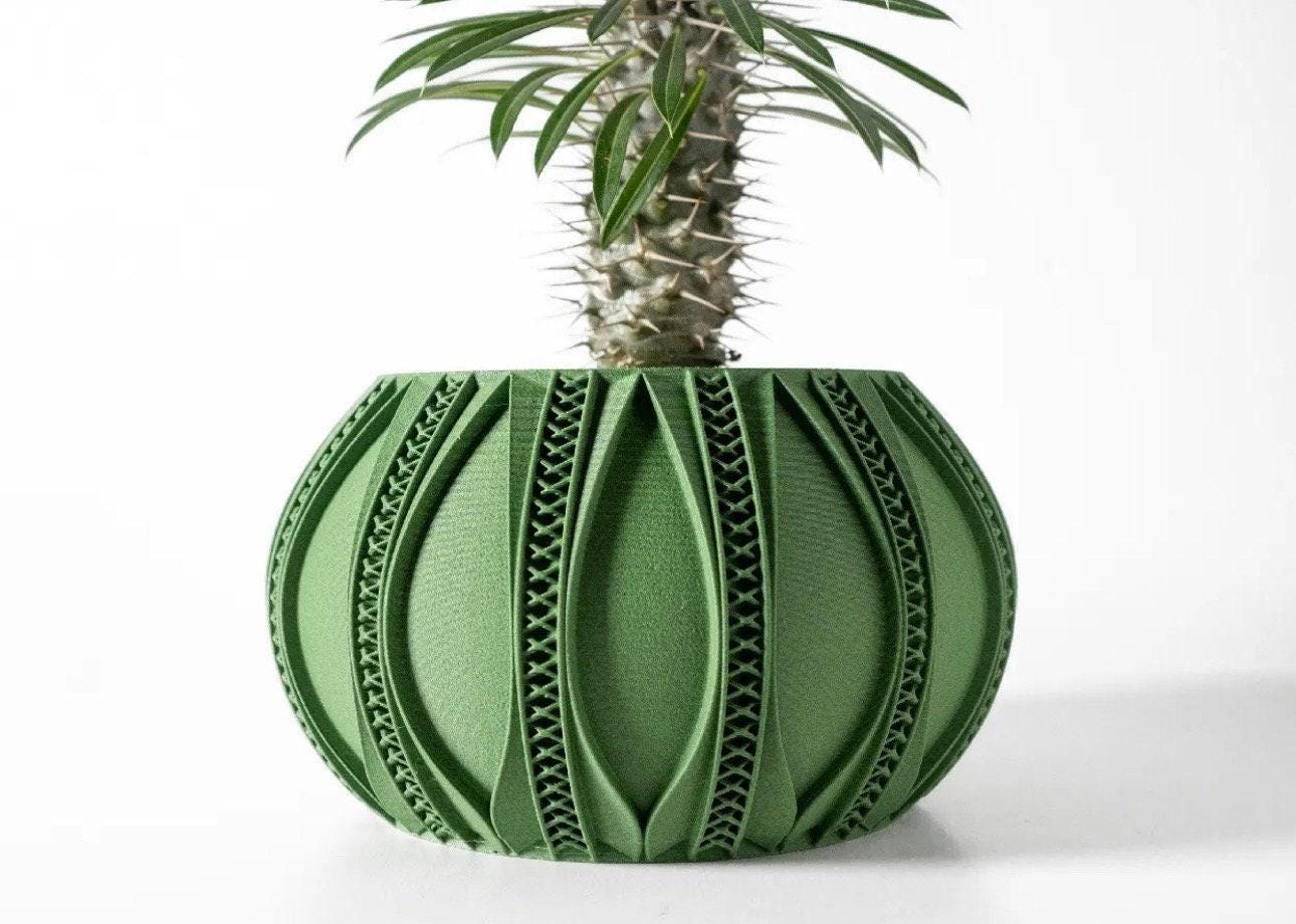 Large Pots for Monstera - Etsy