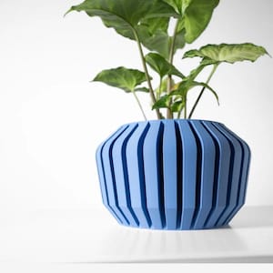 May include: A blue, geometric planter with a ribbed design. A green plant is growing inside the planter.