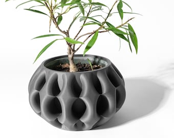 bluetooth plant sensor Plantie Sense