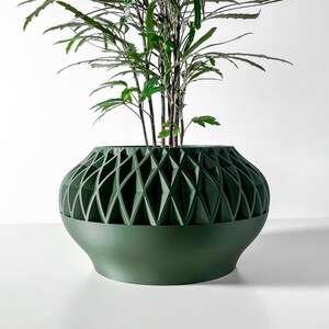 May include: A green planter with a geometric design, featuring a leafy plant inside.