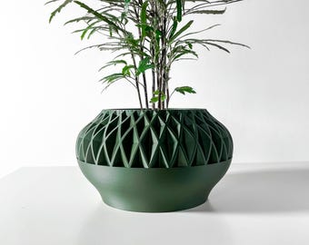 May include: A green planter with a geometric design, featuring a leafy plant inside.