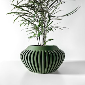 May include: A green planter with a unique ribbed design. The planter is filled with a leafy green plant.
