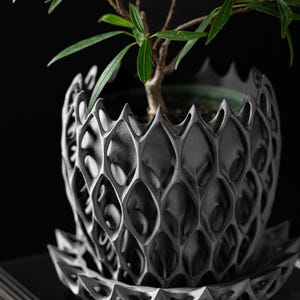 May include: A gray, 3D printed planter with a geometric, honeycomb-like design. The planter has a wide base and a narrow top, and it is holding a small green plant.