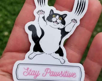 Bleib Pawsitive, lustige Katzenaufkleber, Hundepflege Aufkleber, Hundepfleger Geschenk, Haustierpfleger Aufkleber, Pflegedekor, Katzenpfleger
