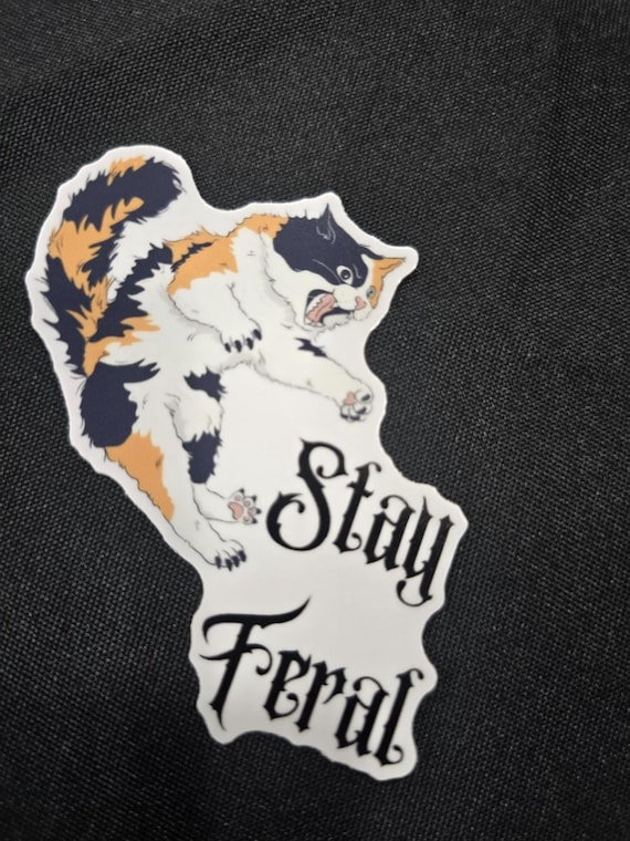 Stay Feral, funny vet tech sticker, Veterinarian, vet tech gift, vet tech week, vet technician gift, vinyl , cat groomer gift , feline gift