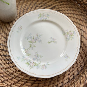 Set of 3/Antique Early 1900’s Vienna Dinner Plate With Floral Design and Gilt Detail