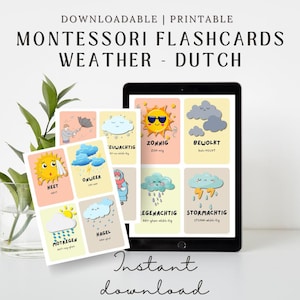 Schede didattiche sul meteo olandese con pronuncia / Impara i termini meteorologici in olandese / Schede didattiche stampabili / Download digitale