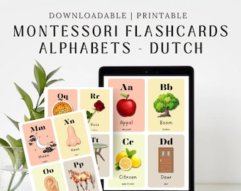 Dutch Alphabet Flashcards for Kids | Learn Dutch Letters | Preschool Printable | Montessori Learning Cards