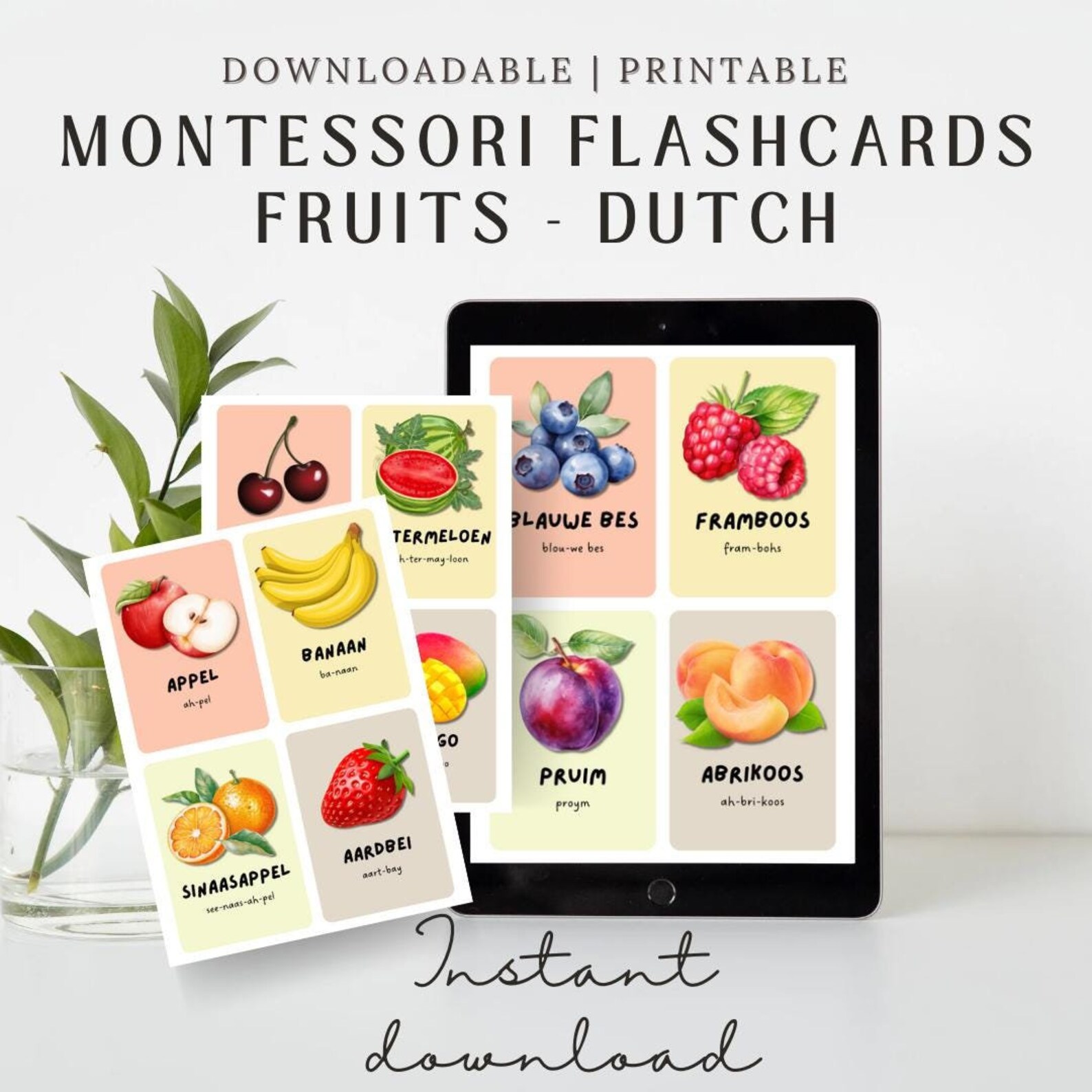 Dutch Fruit Flashcards for Kids | Learn Dutch Vocabulary | Montessori ...