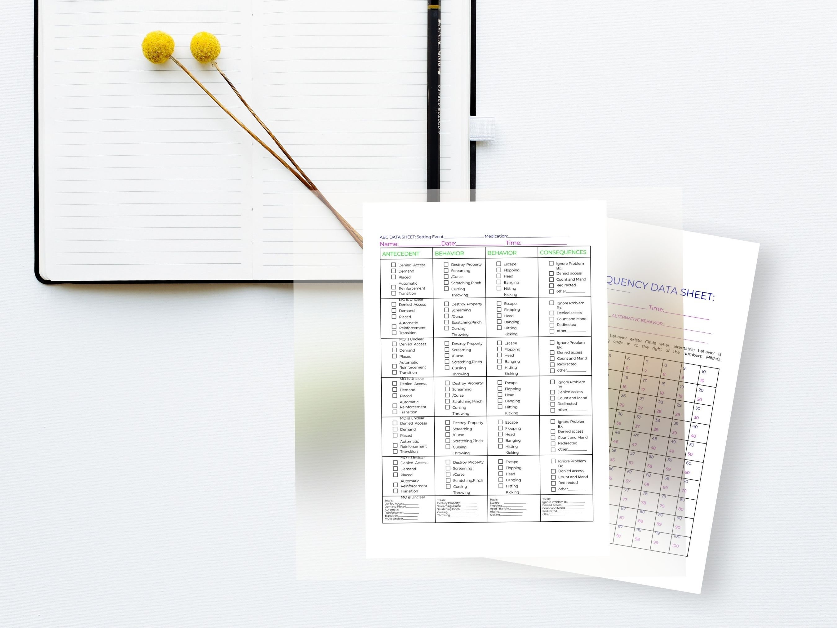 Autism Educators Data Sheets Bundle, Frequency Log, Intensity Worksheet ...