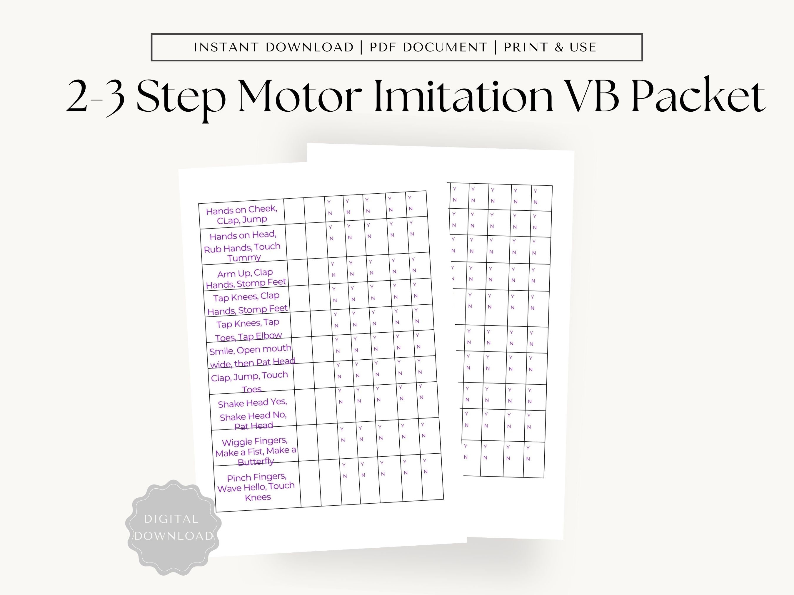 2-3 Step Motor Imitation VB Template Packet, Autism Skills Development ...