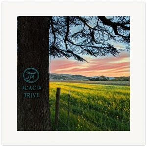 Napa Valley Photography, Wine Country Print, California Landscape Art