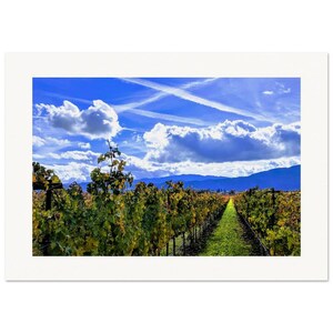 Stunning Vineyard View | Napa Valley Photography, Wine Country Print, California Landscape Art