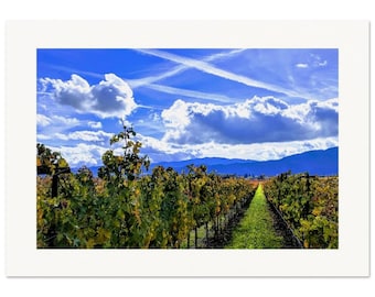 Napa Valley Vineyard Print: California Wine Country Landscape