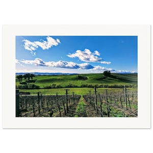 Winter Vineyard Bliss | Carneros vineyard scene, Hillside Landscape, Napa Valley Photography, Wine Country Print, California Landscape Art