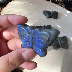 Flashy Labradorite Butterfly | Labradorite Carving | Butterfly Carving
