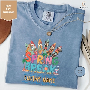 Comfort Colors Custom Disney Mickey and Friends Spring Break 2025 Shirt, Disney Cruise Line Family Shirt, Disneyland Summer Vacation Shirt