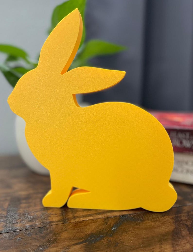 Custom 3D Printed Market Rabbit Buyer Thank You Gift - Etsy
