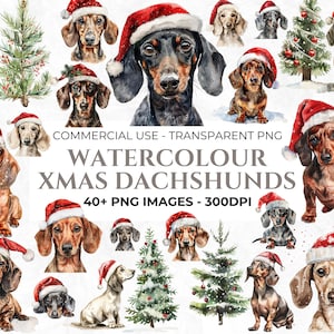 Miniatur Dackel Weihnachten PNG Clipart, Aquarell Dackel, Weihnachtsmützen, Hunde Weihnachten, Hunde in Weihnachtsmützen, kommerzielle Nutzung