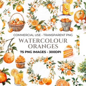 75 clipart de laranja em aquarela, clipart de frutas, pacote PNG de laranja, coroa de frutas cítricas em aquarela, flores de laranja, uso comercial, download instantâneo