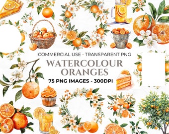 75 imágenes prediseñadas de naranja acuarela, imágenes prediseñadas de frutas, paquete PNG naranja, corona de cítricos de acuarela, flores de naranja, uso comercial, descarga instantánea