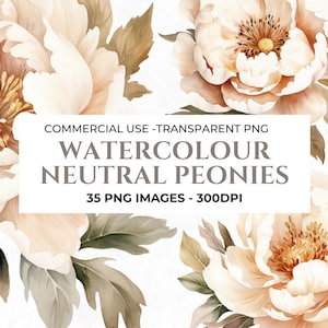 35 peônias aquarela, pacote de clipart de flores, clipart de primavera, peônia PNG, PNG floral, uso comercial, fundo transparente, clipart de casamento