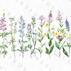 May include: Watercolor illustration of a bouquet of wildflowers in shades of blue, pink, yellow, and purple. The flowers are arranged in a row and are set against a white background.