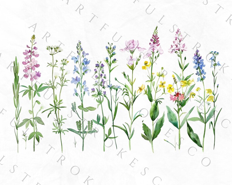 May include: Watercolor illustration of a bouquet of wildflowers in shades of blue, pink, yellow, and purple. The flowers are arranged in a row and are set against a white background.