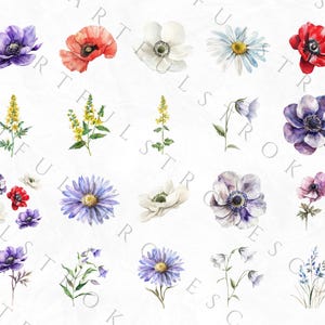May include: A collection of watercolor illustrations of various flowers, including white daisies, red poppies, purple anemones, bluebells, and yellow wildflowers.
