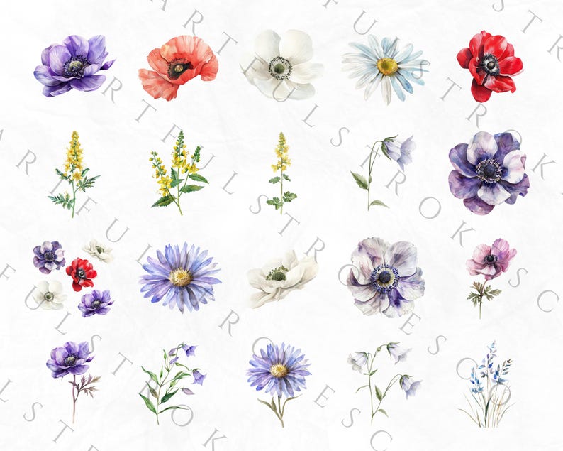 May include: A collection of watercolor illustrations of various flowers, including white daisies, red poppies, purple anemones, bluebells, and yellow wildflowers.