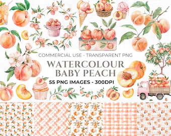 55+ Watercolour Peach Clipart, Fruit Clipart, Gingham Print, Sweet Peach PNG, Baby Peach, Baby Shower Clipart, Commercial Use Clipart