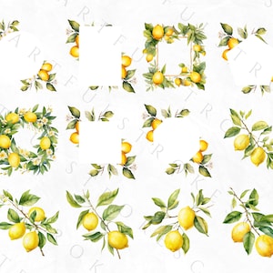 Clipart de limón en acuarela, clipart de fruta, paquete PNG de limón picante, corona de limón en acuarela, azulejo mediterráneo, italiano, uso comercial imagen 7