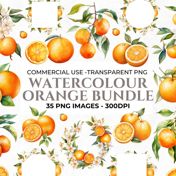 35 Watercolour Orange Clipart, Fruit Clipart, Orange PNG Bundle, Watercolour Citrus Wreath, Orange Flowers, Commercial Use, Instant Download