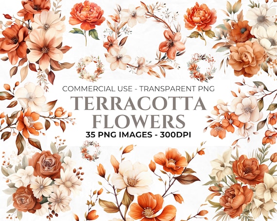 35 Watercolour Terracotta Flowers Clipart Pack, Autumn Clipart, Commercial Use, Transparent Background PNGs, Wedding Botanical Clipart