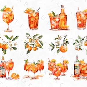 K&ouml;nnte beinhalten: Aquarell-Illustration von Aperol Spritz Cocktails mit Orangenscheiben und Orangenbl&uuml;tenzweigen. Die Illustration zeigt Flaschen Aperol und eine Auswahl an Gl&auml;sern, die mit dem orangenfarbenen Cocktail gef&uuml;llt sind.