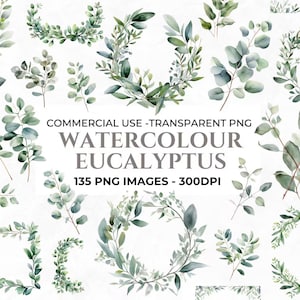 135 Eucalyptus Clipart, Watercolour Botanical PNG, Wedding Invitation Clipart Bundle, High Quality PNG, Commercial Use, Instant Download