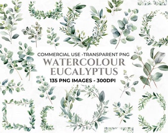 135 Eucalyptus Clipart, PNG botanique aquarelle, faire-part de mariage Clipart Bundle, PNG de haute qualité, usage commercial, téléchargement immédiat