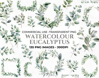 135 Eucalyptus Clipart, Watercolour Botanical PNG, Wedding Invitation Clipart Bundle, High Quality PNG, Commercial Use, Instant Download