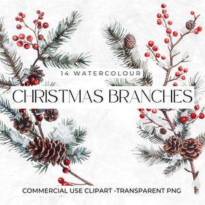 Aquarel kersttakken, kerstboom clipart, groene kerst png-bundel, kerstranken, graphics, gezellige kerst, commerciële clipart