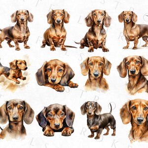 May include: A collection of ten watercolor paintings of dachshund dogs in various poses. The dogs are all brown and black with short legs and long bodies. The paintings are on a white background.