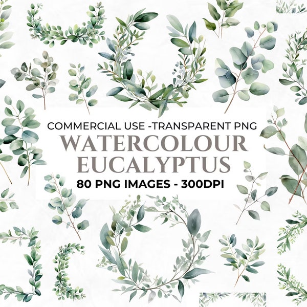 80 Eucalyptus Clipart, Watercolour Botanical PNG, Wedding Invitation Clipart Bundle, High Quality PNG, Commercial Use, Instant Download