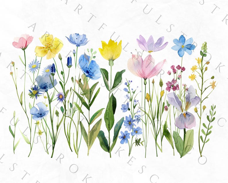May include: A watercolor painting of a bouquet of wildflowers in shades of blue, pink, yellow, and purple. The flowers are arranged in a row, with the stems extending downwards. The background is white.