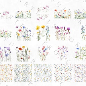 May include: A digital collage of 20 watercolor illustrations of various wildflowers in shades of pink, purple, blue, yellow, and red. The flowers are arranged in a grid pattern on a white background.