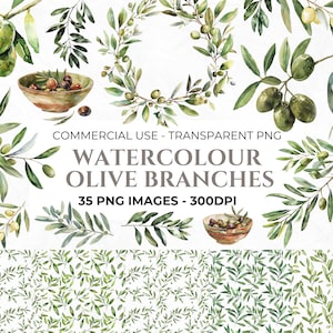 35 Imágenes prediseñadas de rama de olivo de acuarela, imágenes prediseñadas florales, imágenes prediseñadas de invitación de boda, PNF de olivo, artesanía digital, uso comercial. Descarga instantánea