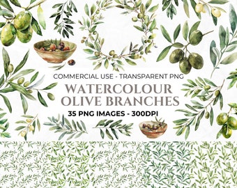 35 Watercolour Olive Branch Clipart, Floral Clipart, Wedding Invitation Clipart, Olive PNF, Digital Craft, Commercial Use. Instant Download
