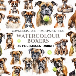 40 Aquarell Boxer Hund PNG Clipart, Aquarell Welpen Illustration, Boxer Hund, Aquarell Hund Bundle, kommerzielle Nutzung, Sofort Download