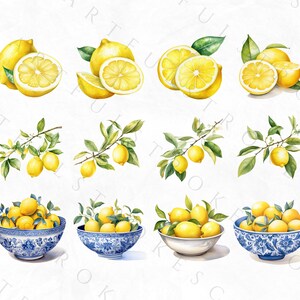 Clipart de limón en acuarela, clipart de fruta, paquete PNG de limón picante, corona de limón en acuarela, azulejo mediterráneo, italiano, uso comercial imagen 6