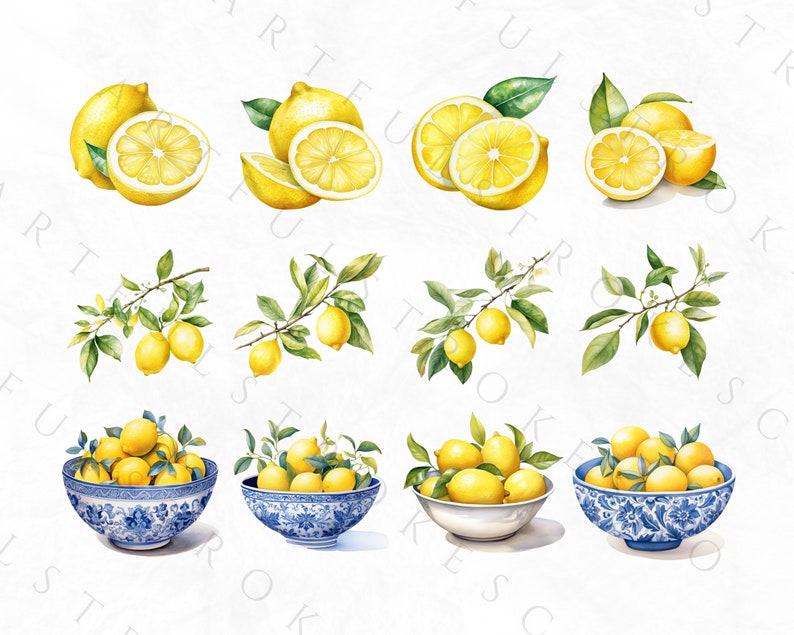 Clipart de limón en acuarela, clipart de fruta, paquete PNG de limón picante, corona de limón en acuarela, azulejo mediterráneo, italiano, uso comercial imagen 6
