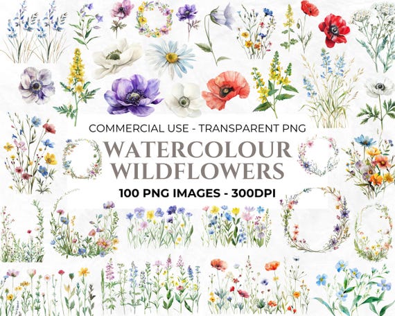 100 Wildflower Clipart, Watercolour Botanical PNG, Wedding Flowers Clipart Bundle, Spring Flowers PNG, Commercial Use, Instant Download
